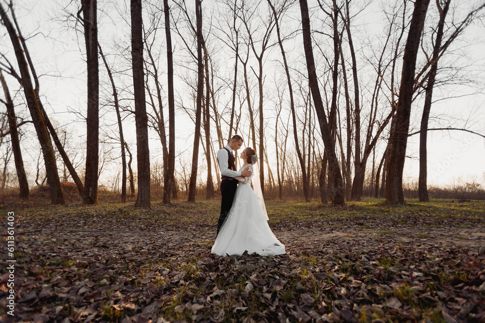 Wedding photo. The bride and groom are walking in the forest. The groom hugs the shoulders of his beloved. Long wedding dress. A couple in love among tall trees. Autumn sunlight. Wedding photo. The bride and groom are walking in the forest. The groom hugs the shoulders of his beloved. Long wedding dress. A couple in love among tall trees. Autumn sunlight.
