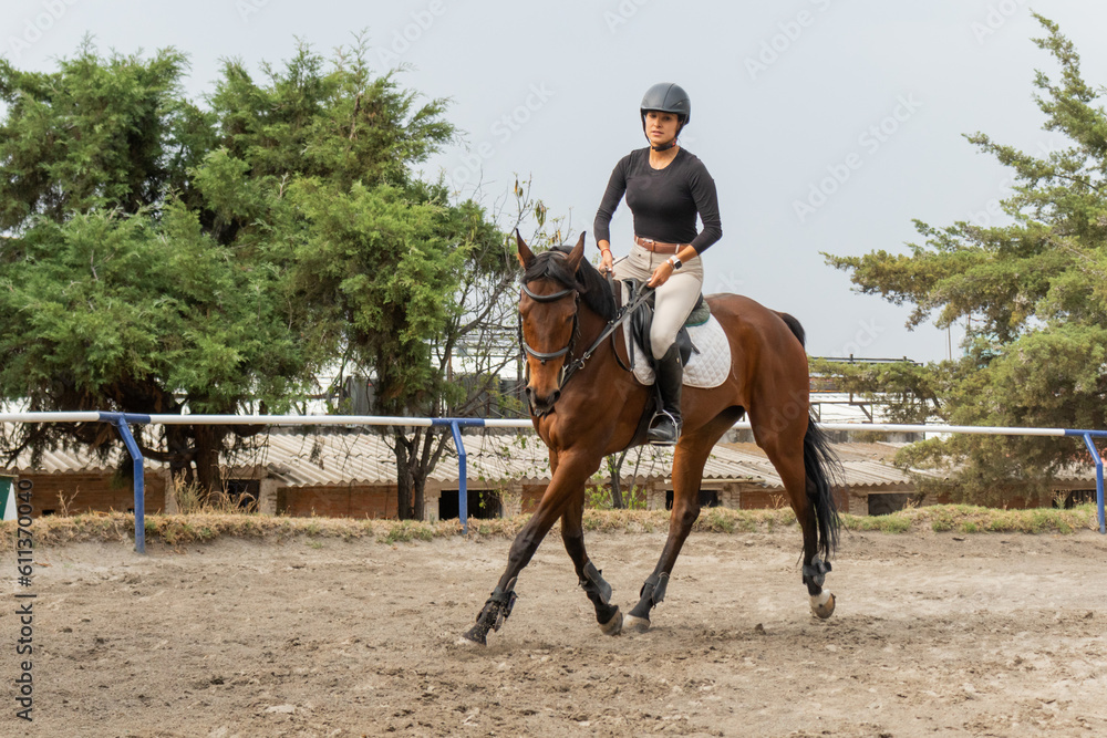 Young woman riding horse on paddock Young woman riding horse on paddock