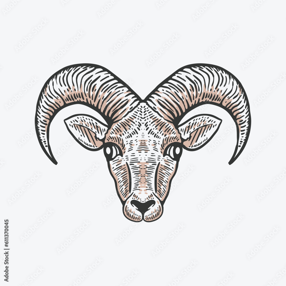 Fototapeta premium goat head hand drawn illustration in vintage style