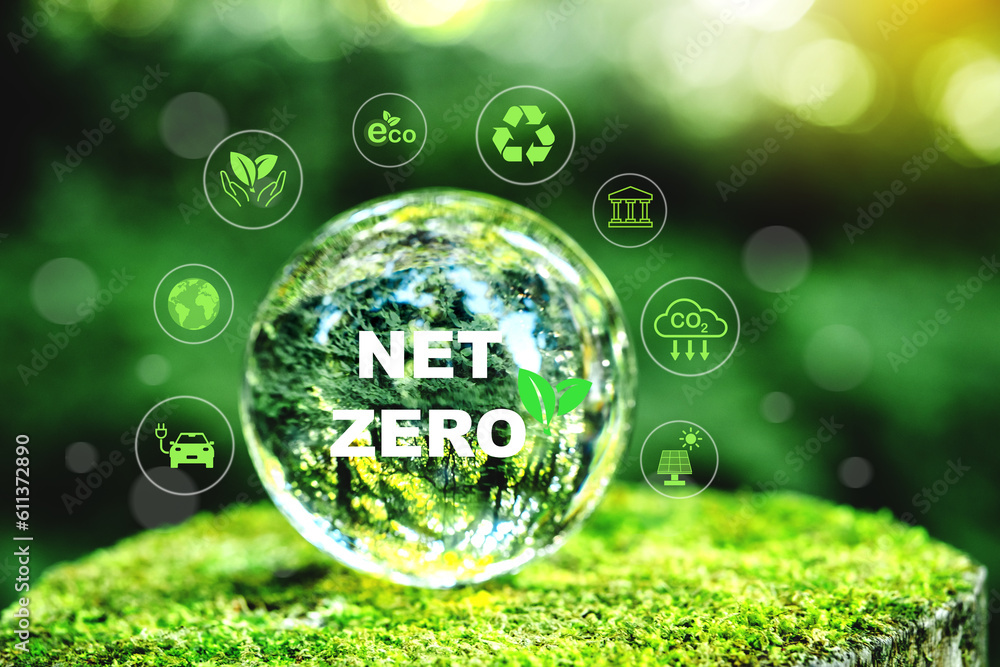 Carbon neutral and net zero environment Ideas Globe Glass on green Moss in forest business based Global communication network. Carbon neutral and net zero environment Ideas Globe Glass on green Moss in forest business based Global communication network.