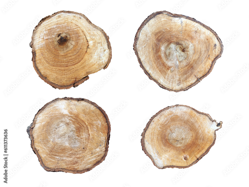 four cross section brown tree stumps isolated on transparent four cross section brown tree stumps isolated on transparent