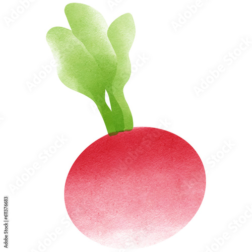 tulip isolate white green