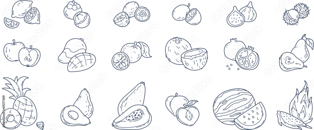 Tropical fruit sketch doodles, avocado half, lemon and orange slices. Hand drawn exotic fruits, sliced kiwi and papaya, fresh summer organic ingredients, vitamin rich food doodle stickers vector set