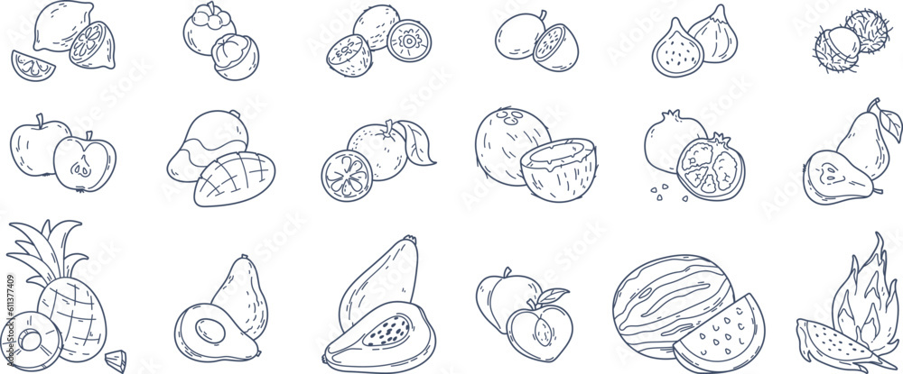 Tropical fruit sketch doodles, avocado half, lemon and orange slices. Hand drawn exotic fruits, sliced kiwi and papaya, fresh summer organic ingredients, vitamin rich food doodle stickers vector set Tropical fruit sketch doodles, avocado half, lemon and orange slices. Hand drawn exotic fruits, sliced kiwi and papaya, fresh summer organic ingredients, vitamin rich food doodle stickers vector set