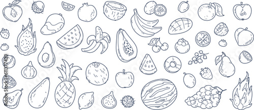 Hand drawn exotic fruit doodles, coconut and lemon slices. Cute tropical fruits, dragon fruit, melon slice and berries, vitamin rich food sketch  stickers, summer fresh organic ingredients vector set photo