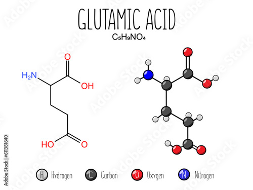 Glutamic acid amino acid representation. Skeletal formula and 2d structure illustration, isolated on white background. Vector editable