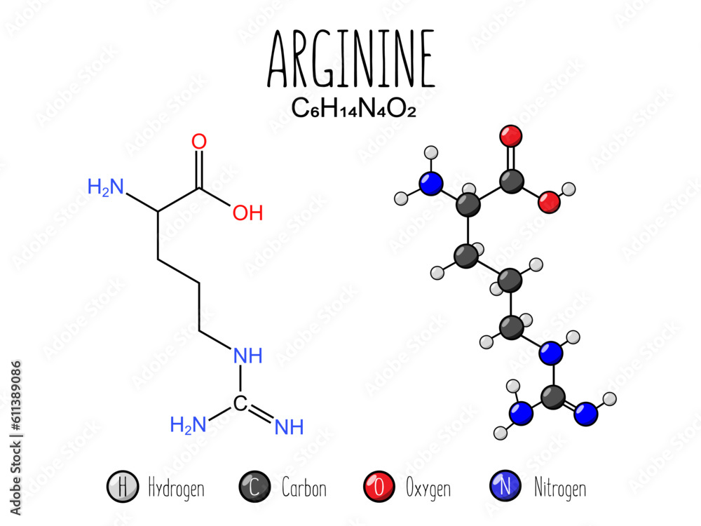 Arginine amino acid representation. Skeletal formula and 2d structure