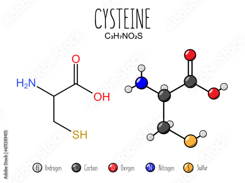 Cysteine amino acid representation. Skeletal formula and 2d structure illustration, isolated on white background. Vector editable