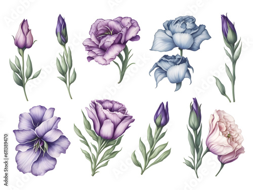  set of watercolor lisianthus flower on transparent background,generative ai