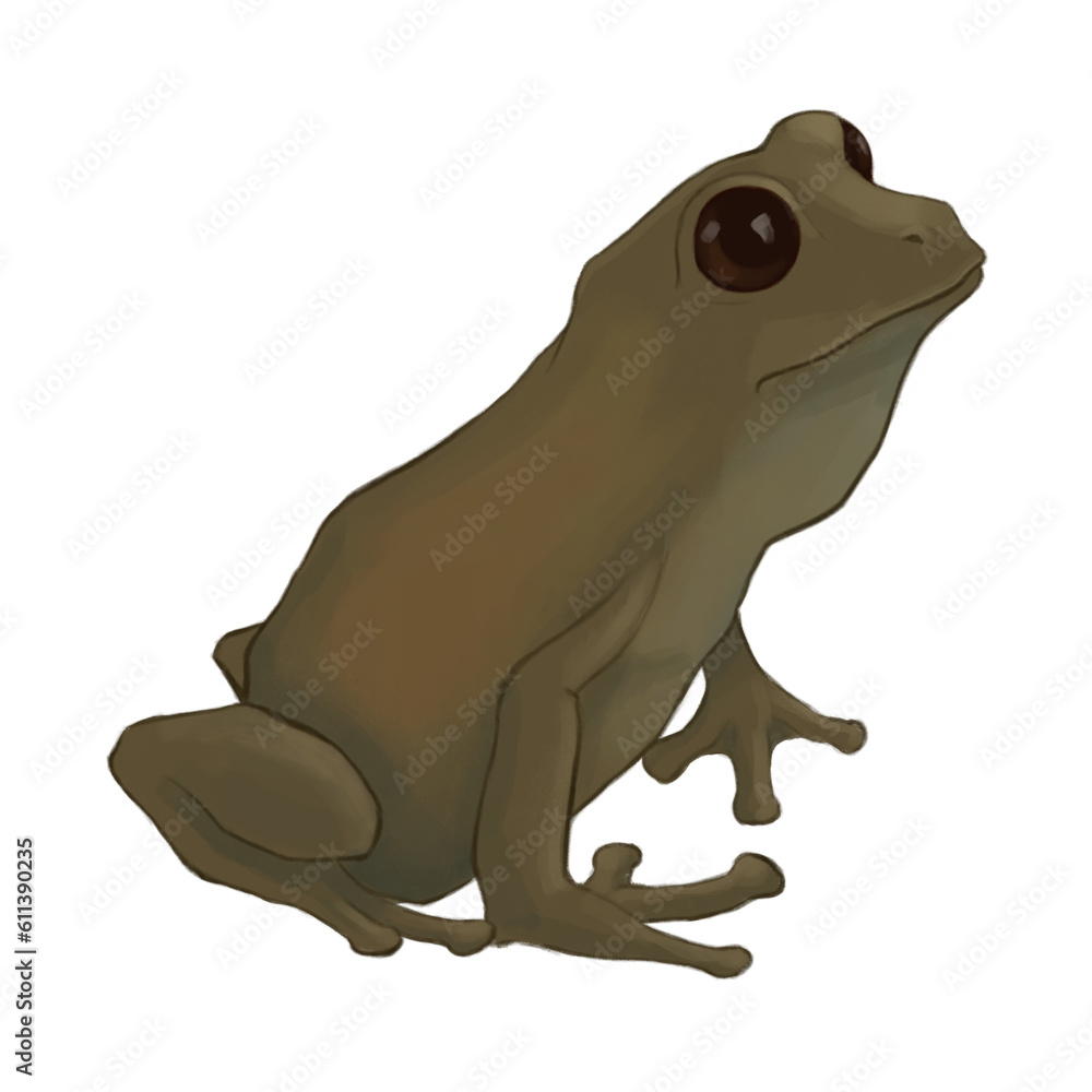Fototapeta premium Illustration of frog