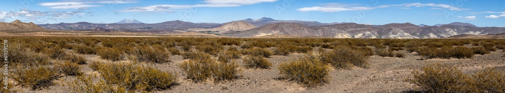 Landscape shot of the Argentinian Pampa in the Province Neuquén - Traveling South America - Panorama