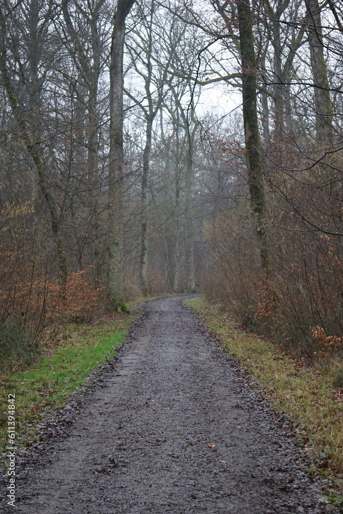 Small forest outside the city of Stuttgart