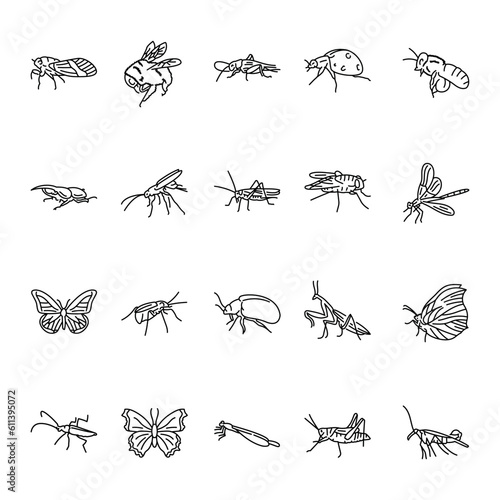 Insects black line icons set.