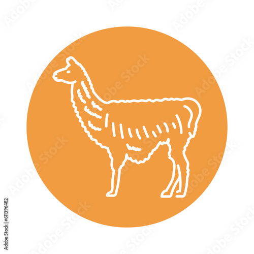 Lama black line icon. Farm animals. photo