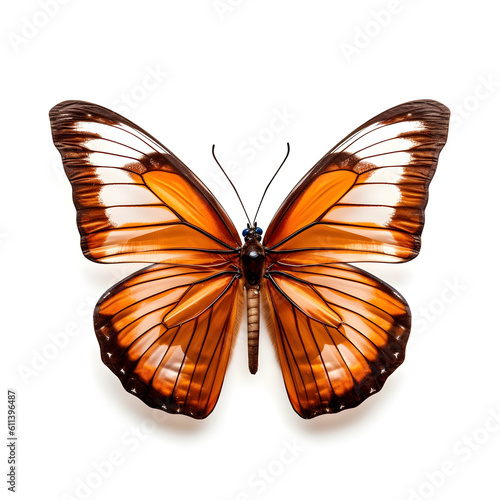 Beautiful butterfly isolated on a white background, Generative AI
