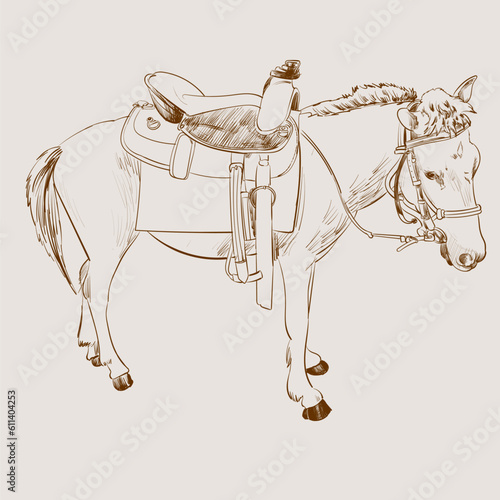 Horse standing with saddle and snaffle bit  bridle hand drawn vintage style  