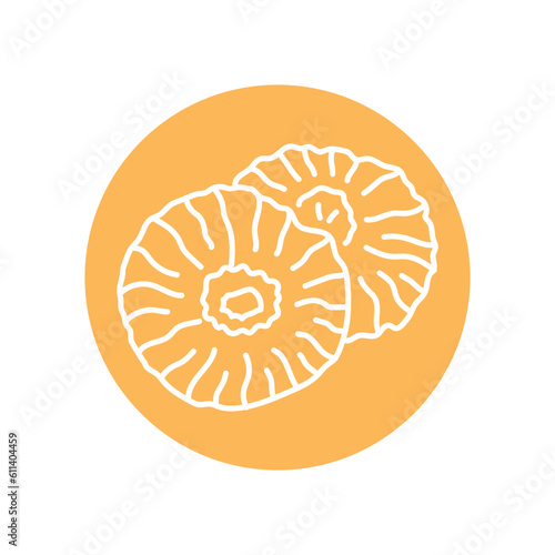 Dried pineapple black line icon. Natural organic super food