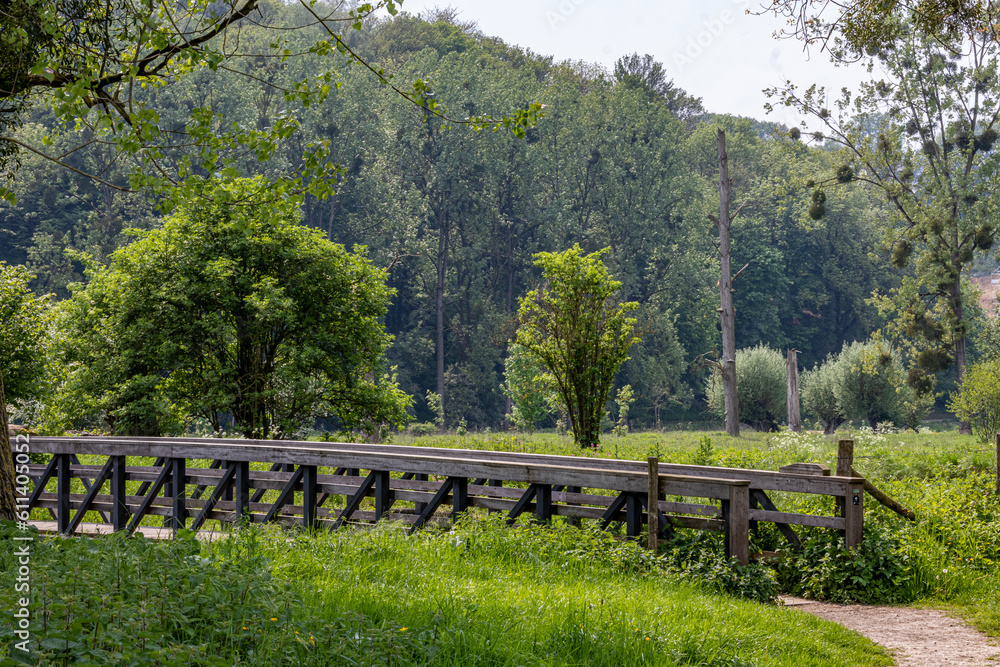 Fototapeta premium Valley with a wooden bridge over Geul river in Dutch nature park Ingendael, mountain covered with lush trees in background, sunny spring day on hiking trail, South Limburg in the Netherlands