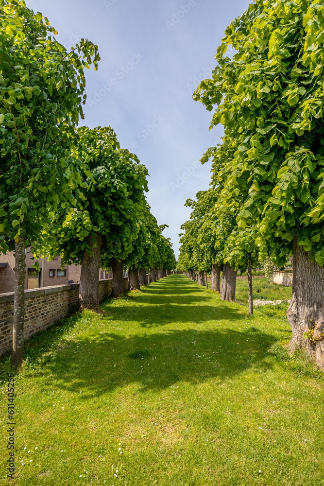 Linear space fading into background between green leafy trees in outer garden of Borgharen castle, green grass, sunny spring day with blue sky in South Limburg, The Netherlands