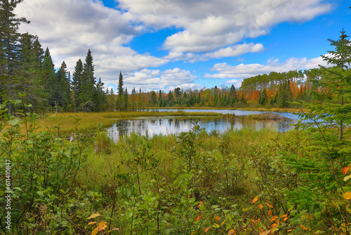 Beautiful Lake bog in autumn fall forest wilderness