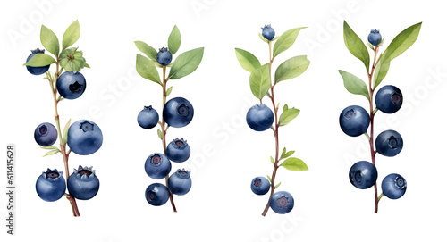 Set of watercolor blueberry png