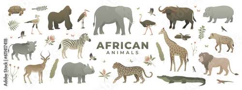 African savannah animals set. Modern vector illustration of safari wildlife. Wild animal collection isolated on white background. Elephant, giraffe, zebra, leopard, lion, gorilla, crocodile. © Anastasiia Neibauer