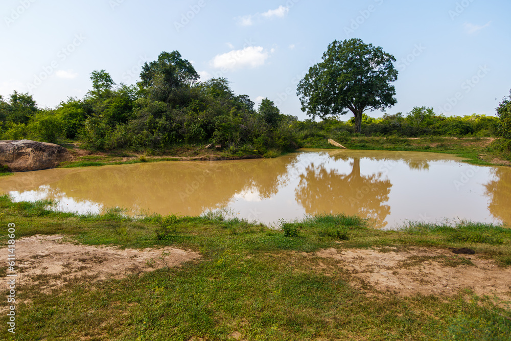 Lake with tree reflection in Udawalawe National Park, Sri Lanka Lake with tree reflection in Udawalawe National Park, Sri Lanka