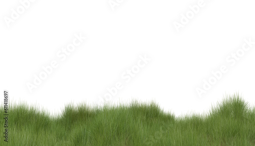 Green Grass on Transparent Background. A Versatile and Natural Design Element