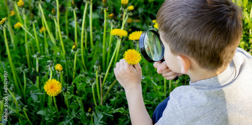 the boy looks at the flower through a magnifying glass.