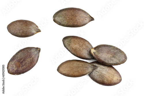 Pumpkin seeds isolated on a white background, top view.
