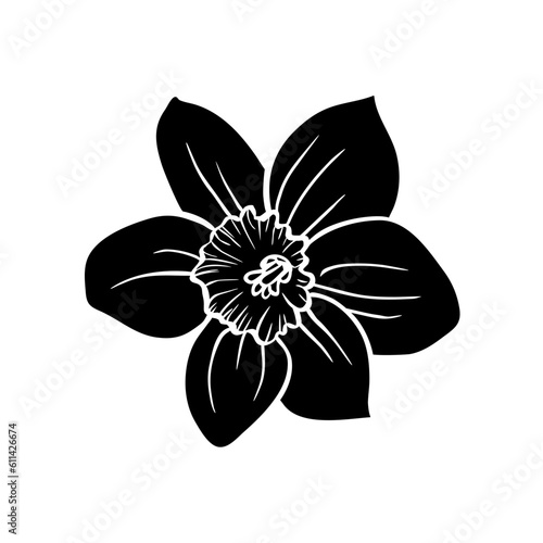Narcissus flower isolated on white background. Silhouette of daffodil blooming bud, hand drawn sketch. Vector decorative element for Easter or romantic design, nature and botanical illustration.