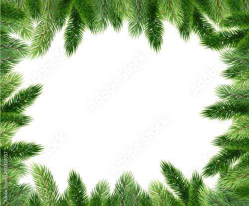 Fir leaves with transparent background 2