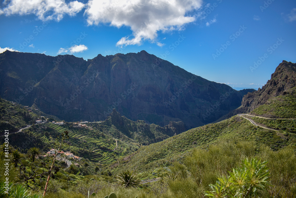 Tenerife, Canary, Canary Islands