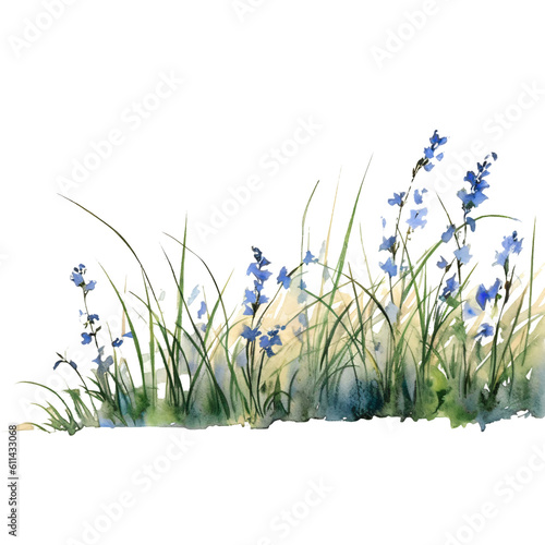 Fototapeta Naklejka Na Ścianę i Meble -  line of grass with blue flowers in watercolor design isolated against transparent