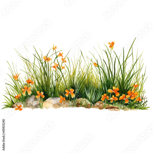 Fototapeta Naklejka Na Ścianę i Meble -  line of grass with orange flowers in watercolor design isolated against transparent
