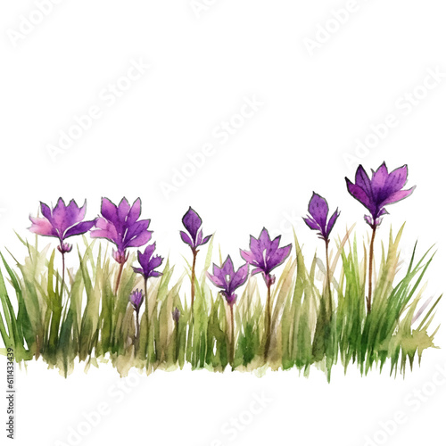 line of grass with purple flowers in watercolor design isolated against transparent