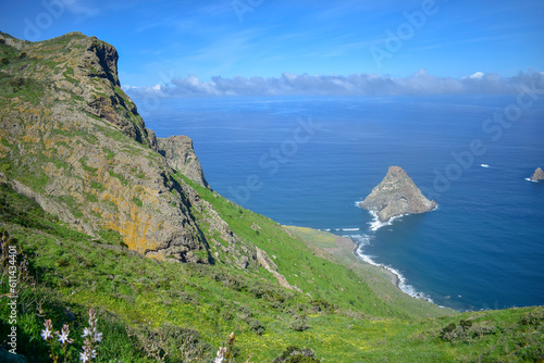 Tenerife, Canary, Canary Islands