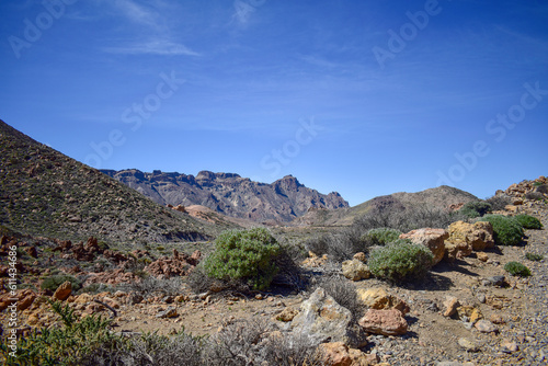 Tenerife, Canary, Canary Islands, Teide