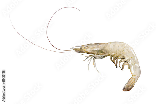 Fresh Shrimp Isolated with transparent background 