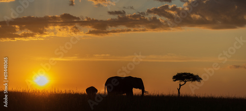 Elephants at sunset © Mark Paul