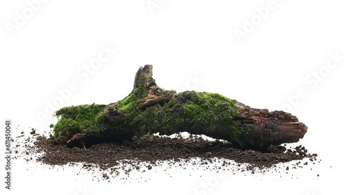 Fresh green moss on rotten branch and dirt isolated on white, side view, clipping path
