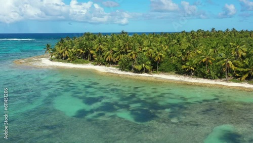 Pristine and bounty tropical shore with coconut palm trees and azure caribbean sea. Beautiful landscape. Aerial view from drone