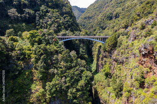 Aerial view above the lush rainforest of northern La Palma in the Canary Islands photo