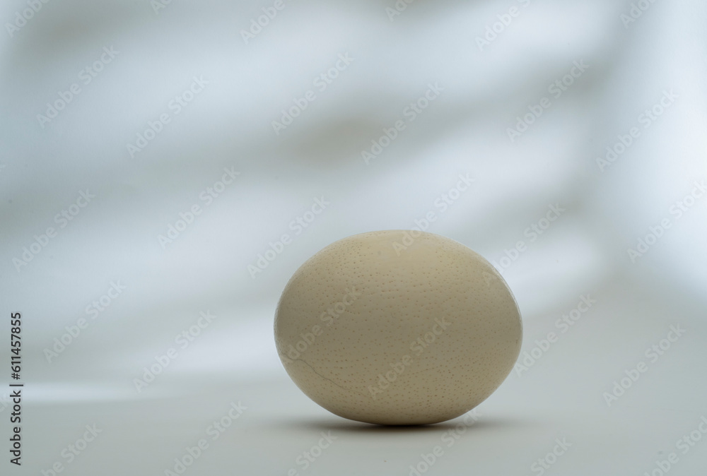 white oval on white background.ostrich egg on white background with shadows for product presentation podium background white oval on white background.ostrich egg on white background with shadows for product presentation podium background