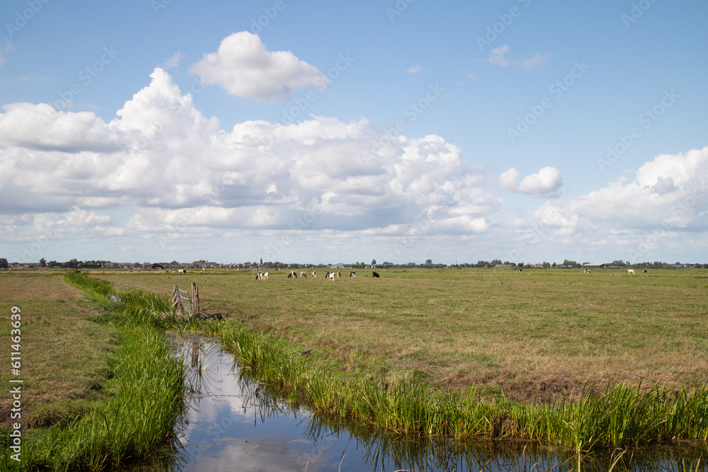 Rural landscape with grazing cows in the meadow and the village of Eemnes in the background.