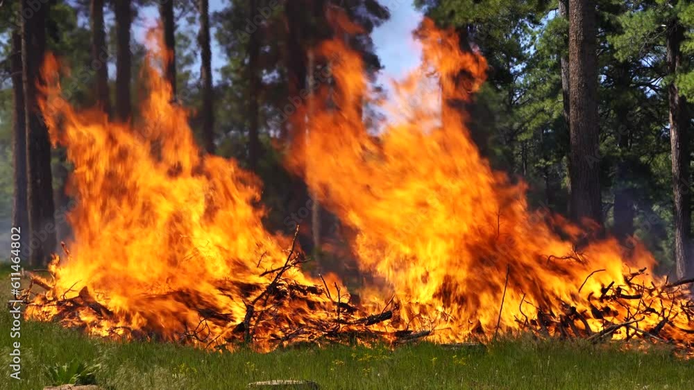 Crater Sinks Northern Arizona Prescribed Burn Forest Wildfire, Pine Trees, America, USA 2023.