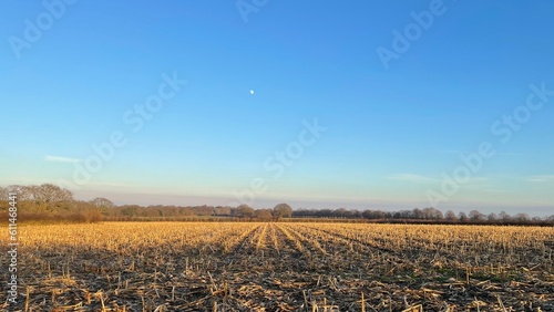 Obraz na płótnie Ploughed fields with and without crops