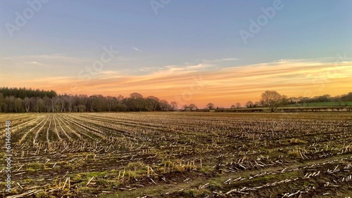 Obraz na płótnie Ploughed fields with and without crops