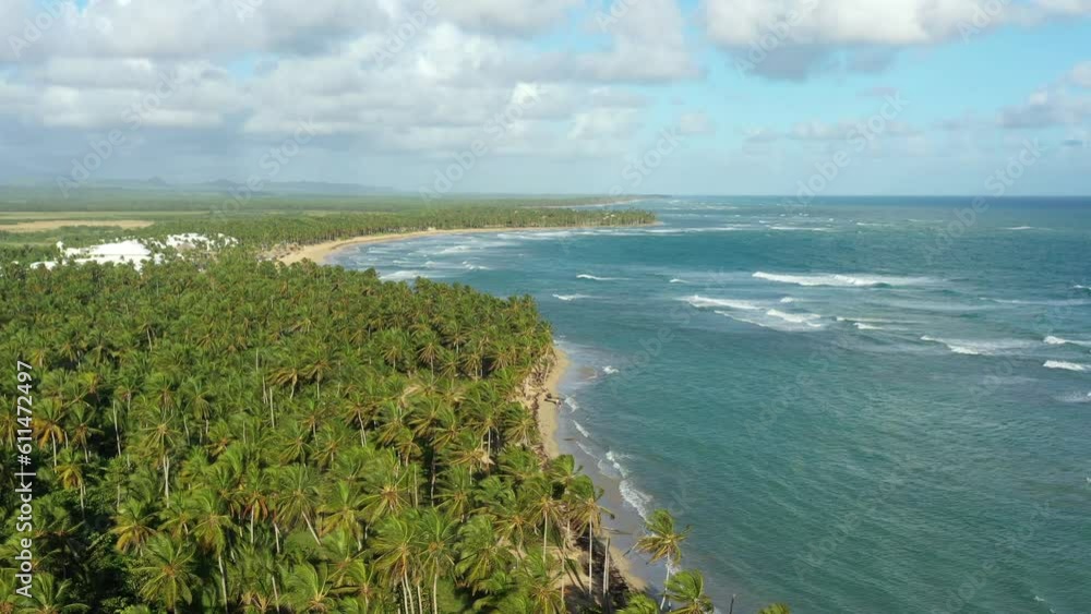Pristine and bounty tropical shore with coconut palm trees and azure caribbean sea. Beautiful landscape. Aerial view from drone Pristine and bounty tropical shore with coconut palm trees and azure caribbean sea. Beautiful landscape. Aerial view from drone
