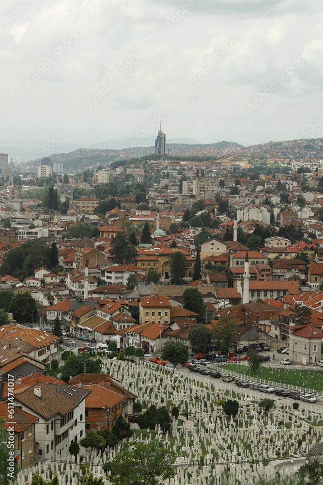 Panorama view of Sarajevo 